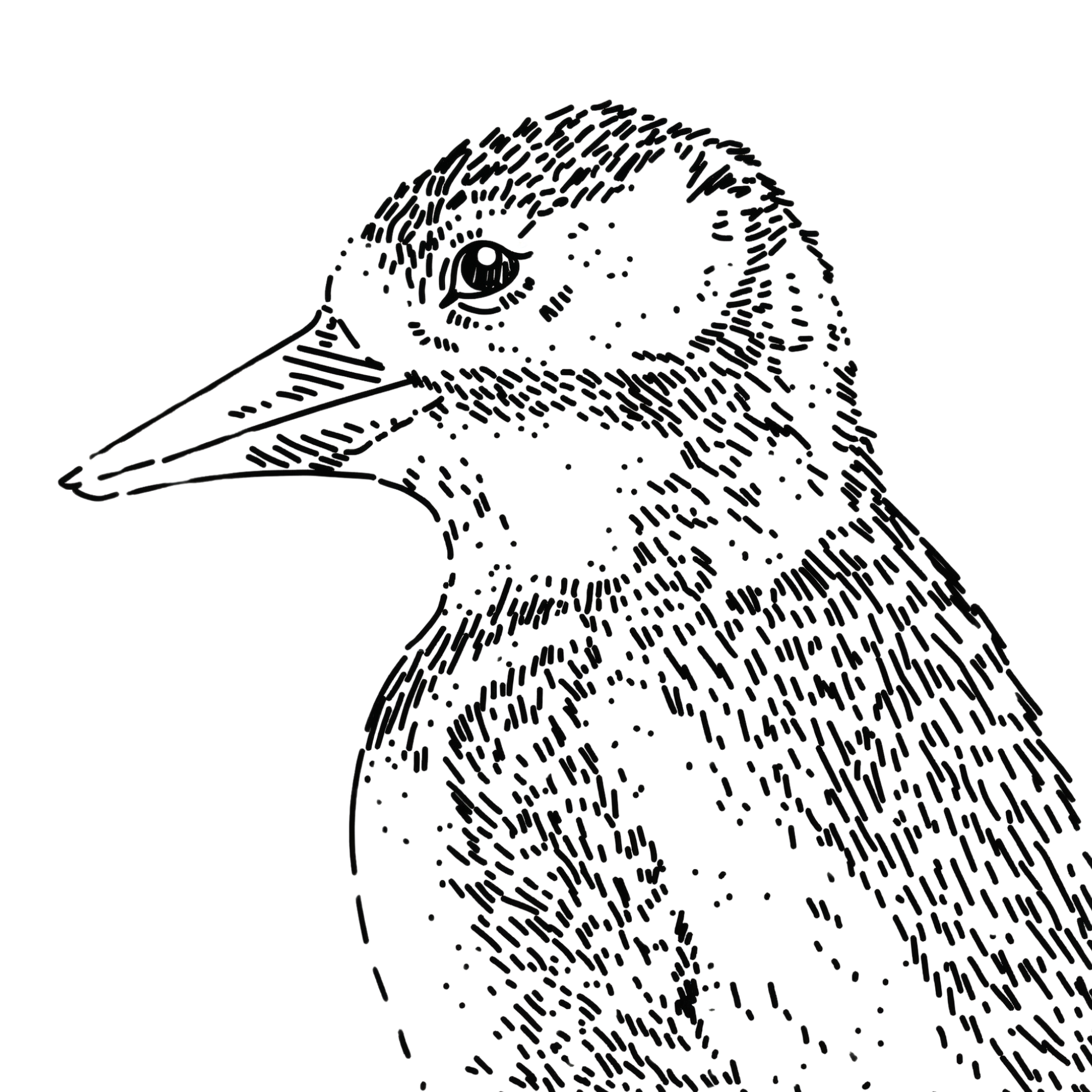 Precyzyjny Dzięcioł